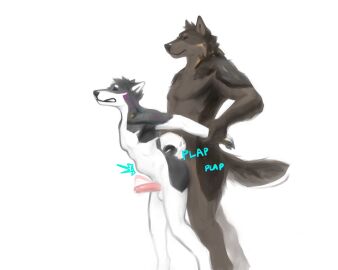 absurd_res anal anal_sex anthro arm_grab balls bodily_fluids canid canine canis cum digital_media_(artwork) digitigrade domestic_dog duo from_behind_position genital_fluids genitals hi_res humanoid_genitalia humanoid_penis kaiseka karbon_(character) krbn male male/male male_penetrated male_penetrating mammal penetration penis sex shiba_inu simple_background size_difference spitz stomach_bulge tail white_background wolf