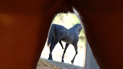 3d barn bestiality ciri edit female horse horsecock imminent_anal imminent_bestiality imminent_oral imminent_penetration imminent_sex male penis the_witcher_(series) the_witcher_3:_wild_hunt unknown_artist zoophilia