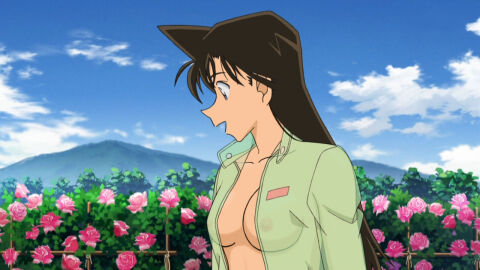 Image: 954382