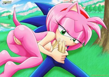 amy_rose blowjob fellatio female furry male mobius_unleashed palcomix pink pink_hair sonic_(series) sonic_the_hedgehog sonic_x