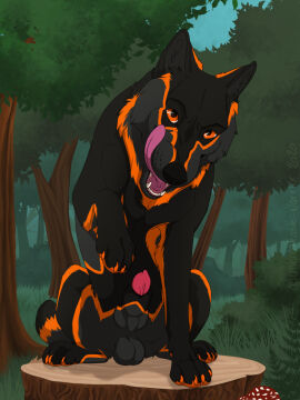 animal_genitalia animal_penis balls black_body black_ears black_fur blue_sky canid canine_genitalia canine_penis fangs feral front_view fur genitals glistening glistening_eyes grass grey_balls grey_body grey_fur hi_res kamots_(kamots_wolf) knot_in_sheath licking licking_lips licking_own_lips looking_at_viewer male mammal markings open_mouth orange_eyes orange_markings outside penis penis_tip pink_tongue plant red_penis sheath shrub sitting sky solo teeth tongue tongue_out tree unbreakable-warrior vein veiny_penis