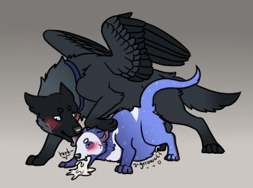 1boy all_fours ambiguous_gender anal anal_penetration anal_sex anthro ass blue_body blue_collar blue_eyes blush bodily_fluids canid canine canis collar countershading cum cum_from_mouth cum_in_ass cum_in_mouth cum_inside cum_through cum_vomit cumflated_belly cumflation dasyurid dasyuromorph dipstick_tail doggy_style domestic_dog duo ears_down feral from_behind_position genital_fluids german_shepherd grey_nose grey_tongue head_lick herding_dog inflation kiiro17 larger_male looking_at_another looking_at_partner male male/ambiguous male_penetrating mammal markings marsupial narrowed_eyes open_mouth pastoral_dog penetration penile penile_penetration penis penis_in_ass pivoted_ears raised_tail rumbling_stomach sex size_difference stomach_bulge tail tail_markings tasmanian_devil tongue white_body white_countershading