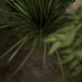 3d animated feral feral_pred first_person_view hippo hippo_pred human human_prey mawshot mouth_shot night oral_vore pov prey_pov saliva_strings silly_roll sound steam steamy_breath sunsetsarsaparilla_(modeler) swallowed_whole swamp tagme video vore