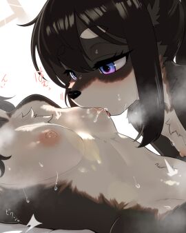 Image: 12818715