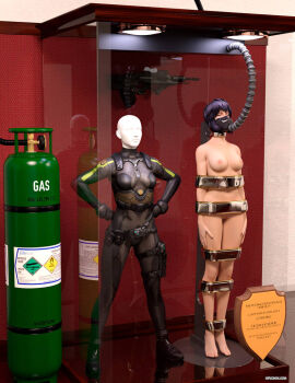 1girls 3d bound bound_arms bound_legs completely_nude female female_only full_body ghost_in_the_shell kusanagi_motoko mannequin nude nude_female purple_hair solo thejpeger trophy_case unconscious unconscious_female