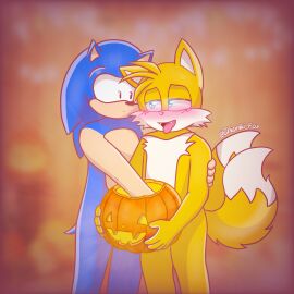 2d anthro blush canine chionki fox fox_boy furry furry_fox furry_only halloween hedgehog hedgehog_boy hi_res miles_tails_prower prank pumpkin sonic_(series) sonic_the_hedgehog sonic_the_hedgehog_(series) suggestive suggestive_gesture tails tails_the_fox two_tails