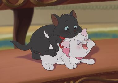 absurd_res anal anal_sex ass bedroom_eyes berlioz berlioz_(aristocats) black_body black_fur blush disney duo felid female feral fur genitals hi_res looking_pleasured male male/female mammal marie_(aristocats) minum narrowed_eyes penetration penile penile_penetration penis penis_in_ass riding seductive the_aristocats white_body white_fur