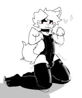 1boy 2024 2d anthro anthro_male anthro_only blush bodysuit boy_kisser_(meme) bulge canine collar collar_tag femboy furry heart male male_only ms_paint sammy_toyy solo tail thigh_highs tremble_lines tremble_spikes white_background