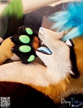 3d affectionate animal_genitalia animal_penis anthro balls bangs bed bedding bedroom black_body black_fur blanket blue_body blue_fur c4d canine_genitalia canine_penis cinema_4d_(artwork) claws close-up daytia detailed detailed_fur digital_media_(artwork) duo eye_contact face_to_face facial_expression fluffy fluffy_tail fur furniture genitals green_hair hair hi_res interspecies intimacy licking long_tail looking_at_another looking_at_viewer lying male male/male multicolored_body multicolored_fur nuzzling open_mouth orange_body orange_fur pawpads paws penis pillow pose posed red_body red_fur rexouium shaded side_view smile soft_shading tail toe_claws tongue tongue_out white_body white_fur