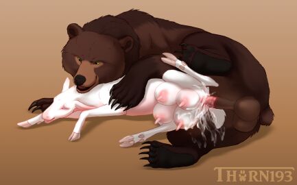 5_toes above_average_crotchboobs albino animal_genitalia animal_penis animal_pussy areola ass balls bear black_claws black_nose black_pawpads bodily_fluids breasts brown_bear brown_body brown_fur claws cloven_hooves crotch_breasts crotchboobs cum cum_drip cum_on_ass cum_on_butt cum_on_leg cum_on_penis deer dewclaw_hooves digital_drawing_(artwork) digital_media_(artwork) dripping duo erection excessive_cum excessive_genital_fluids feet female female_penetrated feral feral_on_feral feral_penetrated feral_penetrating feral_penetrating_feral from_behind_position full_foot_pawpads fur genital_fluids genitals green_eyes grizzly_bear hi_res hooves interspecies larger_male leaking leaking_cum looking_pleasured lying male male/female male_penetrating male_penetrating_female mammal mane mane_hair messy multi_nipple narrowed_eyes nipples non-human_areolae on_side open_mouth orgasm pawpads penetration penile penile_penetration penis penis_in_pussy pink_nipples pink_penis predator/prey purple_eyes pussy quadruped sex sheath short_tail size_difference smaller_female smile spooning spread_legs spreading stomach_bulge submissive submissive_female tail thorn193 toes udders ursine ursine_penis vaginal_penetration white_body white_fur