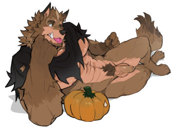 1boy 2020s 2021 abs anthro balls bara barely_clothed biceps big_pecs black_collar brown_eyes brown_fur canid canine canine_ears canine_humanoid canis collar crossed_legs cute_male ear_piercing fangs fangs_out flaccid foreskin furry gay hairy_penis halloween happy_trail humanoid humanoid_genitalia humanoid_penis jack-o'-lantern laying_on_side lying lying_on_side male male_focus male_only muscular muscular_male muscular_thighs nipple_piercing nipples pecs pectorals penis piercing pubic_hair pumpkin reyes_(saltypoundcake) ripped_shirt saltypoundcake simple_background solo solo_focus solo_male spookeedoo tongue tongue_out two-tone_fur uncircumcised uncut werewolf white_background wolf yaoi