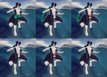 animal_genitalia anthro balls border_collie canid canine canis collie domestic_dog furry genitals herding_dog hi_res knot male male_focus male_only mammal no_humans pastoral_dog penis sheath sheepdog sunitai water