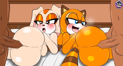 absurd_res aged_up ahe_gao anal anal_sex anthro anthro_penetrated anus ass balls bed bed_covers bed_sheet bedding blue_eyes breasts cream_the_rabbit dark_body dark_skin female female_penetrated fur furniture genitals group half-closed_eyes hi_res human human_on_anthro human_penetrating human_penetrating_anthro interspecies lagomorph leporid looking_pleasured male male/female male_penetrating male_penetrating_female mammal marine_the_raccoon narrowed_eyes open_mouth orange_body orange_fur penetration penis procyonid rabbit rabbit_ears raccoon raccoon_tail scut_tail sega sex short_tail sirjzau sonic_the_hedgehog_(series) tail tan_body tan_fur tongue tongue_out