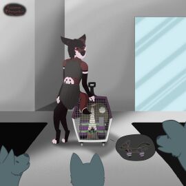 absurd_res animal_genitalia anthro background_character balls blue_eyes blush bondage bondage_gear bottomwear bound breasts building bulge cage canid canine clothing crop_top embarrassed facial_markings female female_(lore) fox fur futanari genitals grey_body grey_fox grey_fur hair head_markings hi_res humiliation intersex knot_in_sheath mammal maned_wolf markings maroon_fur nipples on_display outside penis penis_tip pet_carrier pink_eyes public public_exposure public_humiliation public_nudity roxanne_(urocyongirl) sheath shirt sidewalk skirt small_breasts snout snout_markings teasing topwear trans_woman transfem urocyon urocyongirl valentine_(urocyongirl)