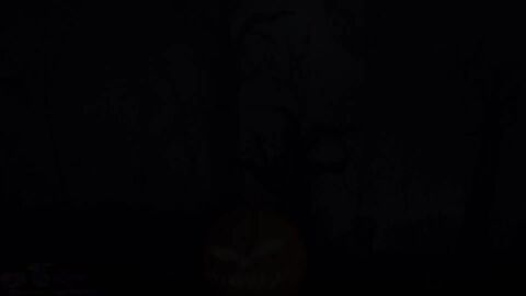 3d 3d_animation animated avian balls bird cowgirl_position cum female halloween halloween_costume longer_than_30_seconds longer_than_one_minute male night outdoors outside outside_sex penis plumenjoyerse pumpkin riding sarah_dellen sarahdellen sex sonic_(series) sonic_oc sonic_the_hedgehog_(series) sound source_filmmaker swallow_(bird) tagme thunder_the_hawk vaginal_sex video wave_the_swallow