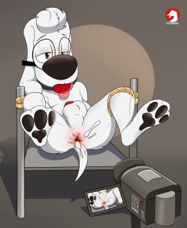 2024 20th_century_fox 20th_century_studios absurd_res after_sex animal_genitalia animal_penis anthro anus ass ball_gag balls bodily_fluids bondage bound bullwinkle_studios camera canid canine canine_genitalia canine_penis canis cum cum_in_ass cum_inside domestic_dog dreamworks dreamworks_animation erection eyewear gag gaping gaping_anus genital_fluids genitals glasses green_eyes hi_res jay_ward_productions male mammal mr._peabody mr._peabody_&_sherman nude osterars pacific_data_images penis restraints rocky_and_bullwinkle rope rope_bondage signature solo solo_male spread_legs spreading tongue tongue_out watermark