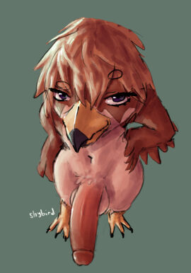 anthro avian avian_feet balls beak big_penis bird erection falcon falconid feathers femboy genitals half-erect hand_on_hip hi_res high-angle_view humanoid_genitalia humanoid_penis male male_only penis peregrine_falcon shybird smile smiling_at_viewer smirk smirking_at_viewer smug smug_face smug_grin solo solo_male thick_penis vein veiny_penis wide_hips