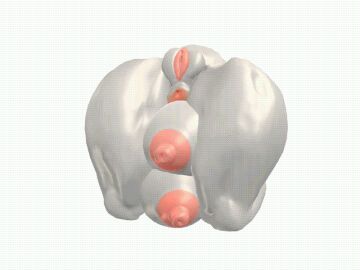 3d animated anthro balled_up bovid caprine contortionism female flexible goat mammal objectification pezho solo toriel undertale undertale_(series)