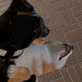 3d_(artwork) angry angry_sex anonyartist3d asphyxiation barkley_(canine_conundrum) black_body black_fur blind border_collie breath canid canine canis closed_eyes clothing collie deaf digital_media_(artwork) disability domestic_dog duo faceless_character faceless_male female feral feral_on_feral feral_penetrated feral_penetrating feral_penetrating_feral floor floppy_ears fluffy footwear fur futuristic_clothing futuristic_setting genitals glistening glistening_latex growling harness herding_dog hi_res knot knotted_penis latex latex_clothing latex_footwear latex_harness latex_hood latex_socks lying lying_on_ground male male/female mammal multicolored_body multicolored_fur on_back on_ground panting pastoral_dog penetration penis pointy_ears questionable_consent realistic_feral roof_of_the_mouth science_fiction sensory_deprivation sex sheepdog shiba_inu socks spitz stretched_pussy teeth_showing tile tile_floor tongue tongue_out unable_to_speak vaginal_penetration white_body white_fur yellow_body yellow_fur