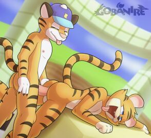 Rule34 - If it exists, there is porn of it / timber_the_tiger.