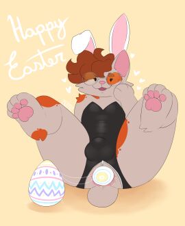 1boy absurd_res anal anal_sex anthro anus ass balls big_ass big_butt blush bodily_fluids bulge bunny_costume clothed clothing costume digital_media_(artwork) docked_tail domestic_cat easter easter_egg egg egg_in_ass egg_laying english_text eyewear fake_ears fake_rabbit_ears feet felid feline felis fluffy fur genital_fluids genitals glasses hi_res holidays leather leather_clothing leotard male male_only mammal murphy_(naughty_cat) naughty_cat open_mouth pawpads paws penetration playboy_bunny short_tail simple_background smile solo sweat sweatdrop tail text toes zipper zipper_down