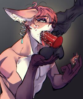 anal anal_fingering anthro balls balls_touching canid canine eye_roll fellatio fingering fox genitals looking_pleasured male male/male mammal oral penile penis sex sol.solarin teasing