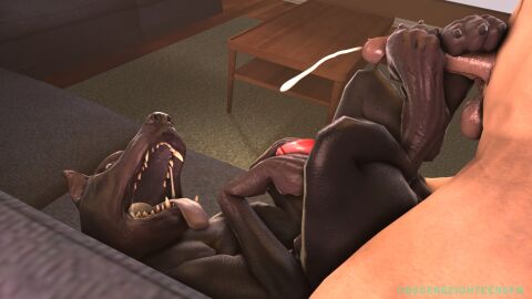 3d armor big_penis bj_blazkowicz black_body black_fur bodily_fluids canid canine canis clothing cum digital_media_(artwork) dobermann domestic_dog duo erection eye_contact fangs feral first_person_view fur gay genital_fluids genitals hi_res huge_cock human human_on_feral interspecies kampfhund looking_at_another lying male male/male male_on_feral mammal obsceneeighteensfm on_back oral penis pinscher saliva signature teeth wolfenstein zoophilia