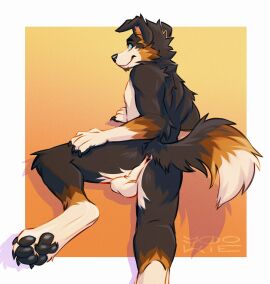 adversarial_noise anthro anus arm_tuft balls black_body black_claws black_fur black_nose black_pawpads blue_eyes brown_markings canid canine canis cheek_tuft claws closed_smile domestic_dog elbow_tuft facial_tuft fur genitals gradient_background hi_res knee_tuft leg_tuft male male_anthro mammal markings mouth_closed neck_tuft nude pawpads perineum shoulder_tuft simple_background smile solo tuft white_balls white_body white_fur yookie