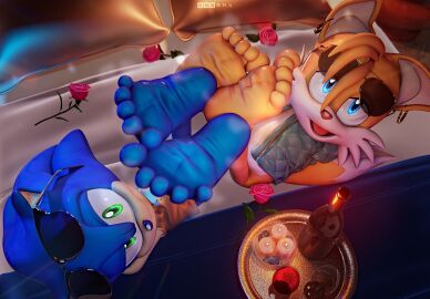 3d 5_toes 699mha anthro canine digital_media_(artwork) duo eyewear feet feet_up foot_fetish foot_focus fox hedgehog hi_res humanoid_feet looking_at_viewer male male/male plantigrade sega soles sonic_(series) sonic_the_hedgehog sonic_the_hedgehog_(series) sunglasses tails tails_the_fox toes