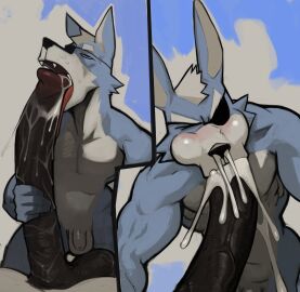 absurd_res animal_genitalia animal_penis anthro balls big_penis blue_body blue_fur blush bodily_fluids canid canine canis closed_eyes cum cum_from_mouth cum_from_nose cum_in_mouth cum_in_nose cum_inside duo equine_genitalia equine_penis eye_patch eyewear flaccid fur gay genital_fluids genitals hi_res it'll_never_fit jojobizad licking long_penis male mammal muscular muscular_male nintendo oral pecs penile penis penis_lick saggy_balls sex simple_background star_fox tan_body tan_fur tongue vein veiny_penis white_body white_fur wolf wolf_o'donnell