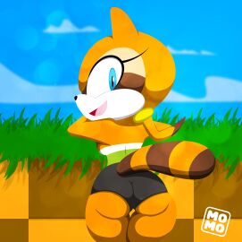 abstrakt marine_the_raccoon sonic_(series) spandex_shorts thick_ass voluptuous_female