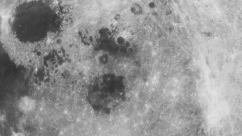 1girls 2boys alien ambiguous_penetration animated animated_gif big_breasts breasts cheating cheating_wife female female_human/male_feral gif imminent_rape imminent_sex interspecies lobao male married_female milf original xenophilia