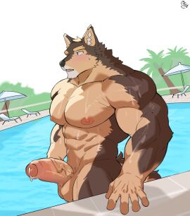 abs anthro balls bey_293821 blush bodily_fluids brown_body brown_fur canid canine canis domestic_dog erection eyebrows foreskin fur genital_fluids genitals hi_res lifewonders live_a_hero male mammal muscular muscular_anthro muscular_male nipples nude pecs penis precum pubraseer solo swimming_pool thick_eyebrows uncircumcised vein veiny_penis