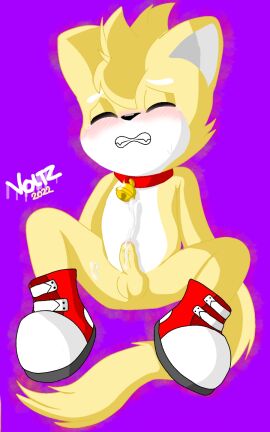 bodily_fluids closed_eyes clothing cum cum_on_penis ejaculation erection felid feline footwear gatovoltz genital_fluids genitals hi_res humanoid jewelry male mammal necklace orgasm_face penis shoes simple sitting sitting_on_ground solo spread_legs spreading tail tears voltz