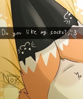 absurd_res anthro bed black_clothing black_legwear black_stockings cat_stockings clitoral_hood clitoris clothing domestic_cat felid feline felis female fluffy fur furniture genital_focus genitals hi_res legwear maine_coon mammal mostly_nude multicolored_body nude on_bed orange_body photo pubes pussy pussy_focus simple_background sitting sitting_on_bed solo stockings tail text tiffany_(tleatlnox59) tleatlnox59 two-tone_body white_body white_fur