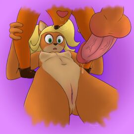 4_fingers activision anthro areola balls bandicoot biped blonde_hair blush bodily_fluids body_blush breasts breath clothing coco_bandicoot countershade_face countershade_torso countershading crash_(series) crash_bandicoot dawnlux digital_media_(artwork) dripping duo erection eyebrows eyeshadow female female_on_bottom fingers from_front_position fur genital_fluids genitals gloves green_eyes hair handwear holding_arm humanoid_genitalia humanoid_penis humanoid_pussy imminent_sex incest long_hair looking_at_genitalia looking_at_penis lying makeup male male/female male_on_top mammal marsupial missionary_position multicolored_body multicolored_fur navel nipples nude on_back on_bottom on_top open_mouth orange_body orange_fur panting penis precum precum_drip pussy pussy_blush raised_eyebrow sex simple_background small_breasts solo_focus two-tone_body two-tone_fur worried worried_look