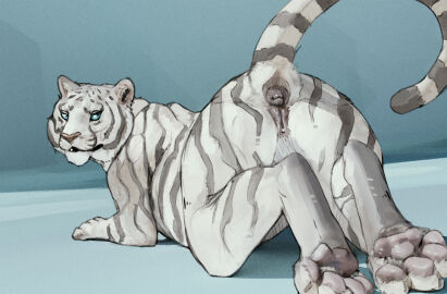anatomically_correct anatomically_correct_anus anatomically_correct_genitalia anatomically_correct_pussy animal_genitalia animal_pussy anus ass black_anus black_pussy blue_eyes cosmiclife digital_media_(artwork) dutch_angle felid feline female feral feral_only fur genitals hi_res looking_at_viewer looking_back looking_back_at_viewer mammal nude pantherine pawpads pink_nose pink_pawpads presenting presenting_anus presenting_hindquarters presenting_pussy pussy raised_tail rear_view simple_background solo striped_body stripes tail tiger white_body white_fur