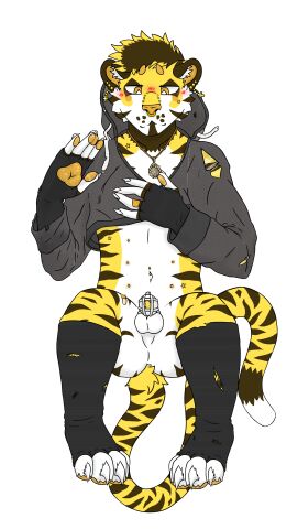 absurd_res animal_genitalia anthro band-aid bandage chastity_cage chastity_device clothing felid femboy genitals hi_res hoodie jewelry legwear male mammal necklace nipples pantherine paws piercing sheath solo spencerthetiger stockings tiger topwear torn_clothing torn_legwear torn_stockings