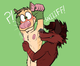 5_fingers absurd_res american_opossum anthro arm_tuft armpit_fetish armpit_hair armpit_musk armpit_sniffing armpit_tuft armpit_worship athletic back_muscles back_tuft belly belly_tuft biped black_nose blush body_hair brown_body brown_fur brown_hair canid canine canis cheek_tuft chest_tuft chin_tuft clenched_teeth closed_eyes clothing colored confusion countershade_torso countershading detailed digital_drawing_(artwork) digital_media_(artwork) dillon_(domidark) domi_(domidark) domidark duo elbow_tuft embarrassed exclamation_point eyebrows facial_tuft fingers fur green_background green_clothing green_eyes green_shirt green_topwear grin hair head_tuft hi_res hug hugging_another male male/male mammal markings marsupial muscles musk musk_clouds musk_fetish musk_worship musky_armpit navel nipples nose_in_armpit nude pecs pink_hands pink_nipples pink_nose pinup pose question_mark raised_eyebrows red_markings rib_lines ribs scrunchy_face shaded shirt shirt_up shoulder_tuft simple_background skinny smile smirk smug smug_expression smug_face smug_grin sniffing sound_effects spine surprise surprised_expression surprised_face surprised_look tan_belly tan_body tan_chest tan_fur teeth topwear tuft virginia_opossum whiskers white_eyes wide_eyed wolf