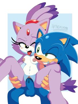 anthro blaze_the_cat blush bodily_fluids breasts domestic_cat duo eulipotyphlan eye_contact felid feline felis female from_behind_position genital_fluids genitals green_eyes hedgehog hero hi_res humanoid looking_at_another male male/female mammal penetration penis princess pussy royalty seated_sex sega sex small_breasts smile sonic_(series) sonic_the_hedgehog sonic_the_hedgehog_(series) spindasher98 spread_legs spreading vaginal_fluids vaginal_penetration yellow_eyes