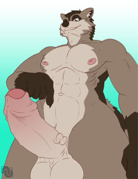 anthro athletic balls foreskin genitals humanoid_genitalia humanoid_penis looking_at_viewer low-angle_view male mammal nenanauso nipples penis procyonid raccoon solo uncircumcised