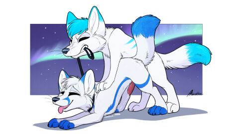2016 anal anal_sex animal_genitalia animal_penis aroused aseethe ass ass_up bared_teeth blue_body blue_fur bodily_fluids canid canine canine_genitalia canine_penis canis claws closed_eyes collar cum cum_while_penetrated digital_drawing_(artwork) digital_media_(artwork) doggy_style domestic_dog duo erection fangs feral feral_on_feral feral_penetrated feral_penetrating feral_penetrating_feral fox from_behind_position fur genital_fluids genitals husky leash leash_pull leto_(letodoesart) looking_pleasured lutu male male/male male_penetrated male_penetrating male_penetrating_male mammal nordic_sled_dog open_mouth paws penetration penile penile_penetration penis penis_in_ass raised_tail sex signature spitz spread_legs spreading standing tail teeth tongue tongue_out whiskers white_body white_fur