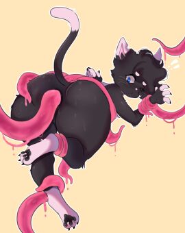1boy absurd_res anthro cat_boy catboy domestic_cat felid feline felis femboy furry girly hi_res hush_furr looking_back male male_only mammal nyon_katze questionable_consent sex solo tentacle tentacle_on_male tentacle_rape tentacle_sex tentacles tentacles_on_male