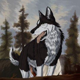 1:1 animal_genitalia animal_penis black_body black_fur black_nose blue_sky canid canine canine_genitalia canine_penis cheek_tuft chest_tuft cloud erection facial_tuft feral fur genitals glistening glistening_eyes green_eyes hi_res knot male mammal msdeadsoul multicolored_penis neck_tuft open_mouth outside penis pink_penis pink_tongue plant red_penis sky solo speedingz tongue tongue_out tree tuft two-tone_penis waterfall white_body white_fur