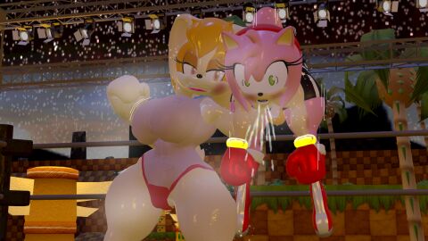 2girls 3d age_difference amy_rose anthro back_bulge belly_punch big_breasts big_thighs boxing boxing_gloves boxing_match boxing_ring breasts bruise bruised bruises catfight curvy devastating_blow duo female female_focus female_only fight fighting fighting_ring furry gloves green_eyes gut_busted gut_punch hairband huge_breasts knocked_out large_breasts lips lipstick milf older_female older_female_and_younger_female orange_eyes orange_hair outdoors pink_fur pink_hair pink_lipstick punch punching punching_stomach red_boxing_gloves red_gloves red_hairband rngsucks ryona sega size_difference sonic_(series) sonic_the_hedgehog_(series) stomach_punch thick thick_hips thick_thighs thighs vanilla_the_rabbit vs white_boxing_gloves white_gloves wide_hips younger_female