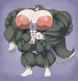1boy abs anthro ass autumnmelody balls big_muscles breasts canid canine canis furry furry_only gigantic_nipples huge_muscles human_genitalia hyper_ass hyper_butt hyper_muscles large_muscles male male_only muscles muscular muscular_male naked naked_male nintendo pecs penis sexy small_penis strong tail testicles the_legend_of_zelda the_legend_of_zelda:_twilight_princess thicc triforce wolf wolf_link