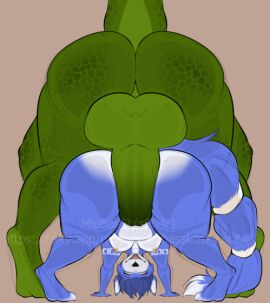 anal anal_sex animated anthro anus balls breasts canid canine crocodile crocodilian duo female fox genitals krystal krystal_(star_fox) male male/female mammal miphassl nintendo penetration penis presenting presenting_anus presenting_balls presenting_breasts presenting_penis presenting_pussy pussy reptile scalie short_playtime size_difference star_fox vulpin