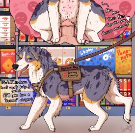 anthro anthro_on_feral anthro_penetrating anthro_penetrating_feral australian_shepherd being_watched blue_body blue_fur blush canid canine canis cheez-its cookie dialogue domestic_dog duo exhibitionism female feral feral_penetrated first_person_view flirting flirting_with_viewer food fur goldfish_crackers grocery_store harness herding_dog human human_on_feral human_penetrating human_penetrating_feral interspecies jif_peanut_butter kellogg's leash looking_at_another male male/female mammal nipples oreo_cookie original_character parooty pastoral_dog penetration pepperidge_farm pringles public pussy service_dog_harness sex sheepdog side_view speech_bubble store talking_feral thinking thought_bubble tongue tongue_out vaginal_penetration zoophilia