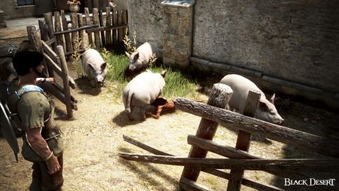 3d arab_female arabian arabian_female bdo black_desert black_desert_online blowjob commentary_request degradation exposed female game_screenshot humiliation irl_character pig pig_girl slave underwear yourbdoslave zoophilia