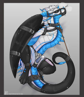 absurd_res arti-ramon bandage bandaged_chest belly belt binder_(restraint) blue_belly blue_horn blue_markings blue_penis bodily_fluids bondage bound caged chastity_cage chastity_device cheek_tuft clothing collar cuff_(restraint) digital_media_(artwork) dildo dragon erection european_mythology eye_mask facial_horn facial_tuft feral feral_bondage fluffy genital_fluids genitals hair head_crest hi_res highlights_(coloring) horn icicle latex latex_bondage latex_clothing latex_legwear latex_tail_stocking latex_thigh_highs leg_bondage legwear letterbox male markings membrane_(anatomy) membranous_wings multicolored_body multicolored_wings mythological_creature mythological_scalie mythology nose_horn penis precum restraints ribbed_horn scalie sex_toy simple_background solo strapped_in_dildo strapped_in_toy tail tail_bondage tail_tied thigh_highs toy_in_ass tuft vibrator western_dragon white_body white_hair wing_markings wings wyvern